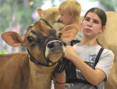 Canfield Fair continues